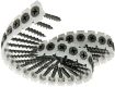 Picture of 3.9 x 55 Collated Drywall Screws Coarse 1000 Box