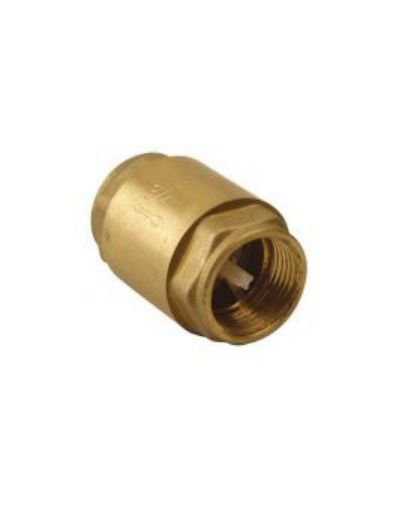 Picture of Spring Type Non Return Valve  1"