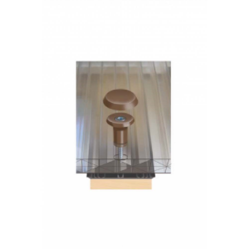 Picture of Multiwall Polycarbonate Fixing Buttons & Screws CLEAR 10mm (Pack of 10)