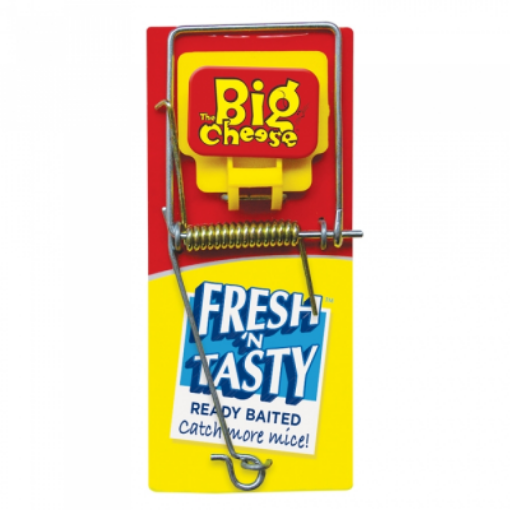Picture of The Big Cheese STV194 Fresh Baited Mouse Trap